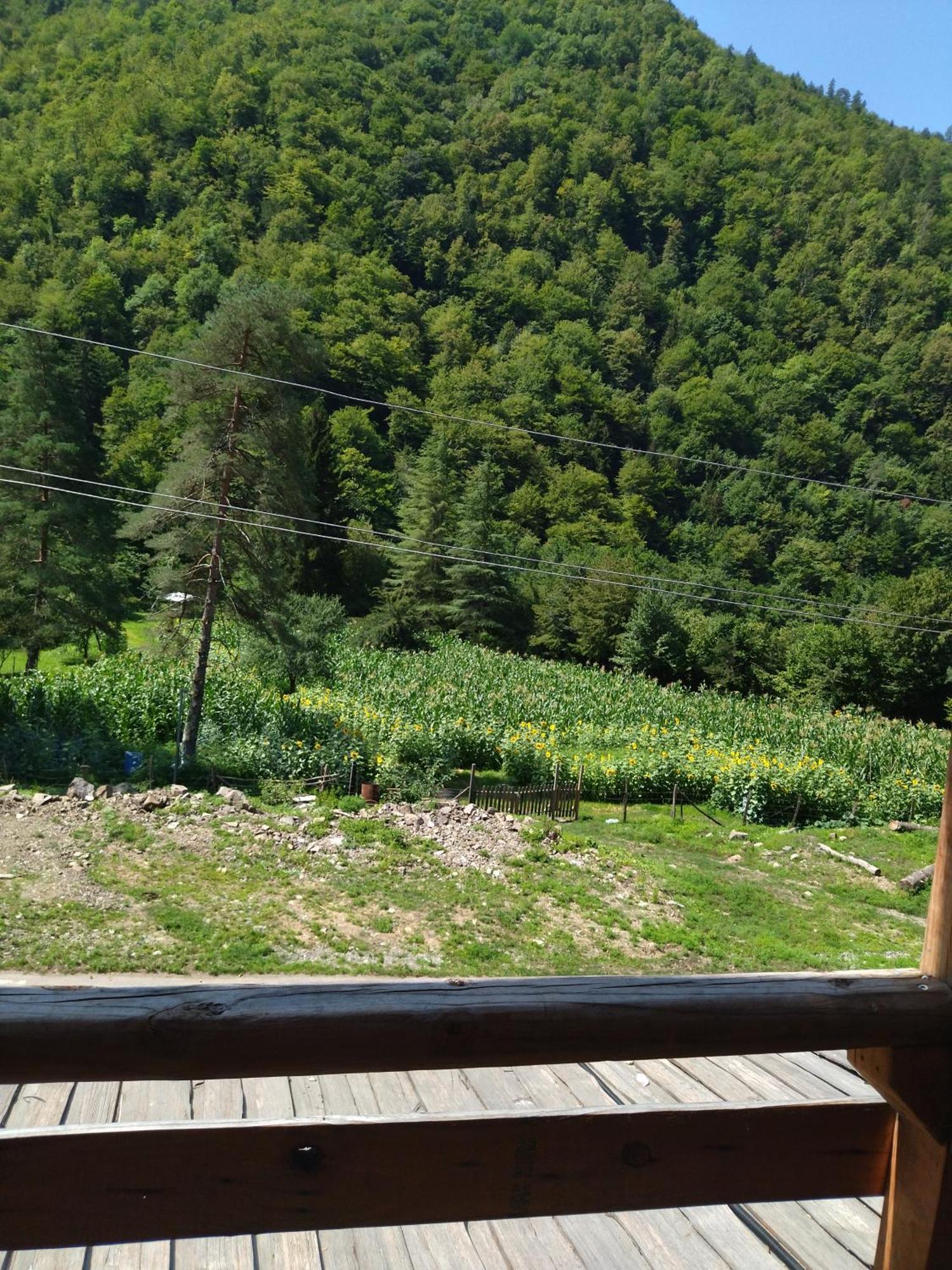 Hotel Alismereti Zekari Dış mekan fotoğraf
