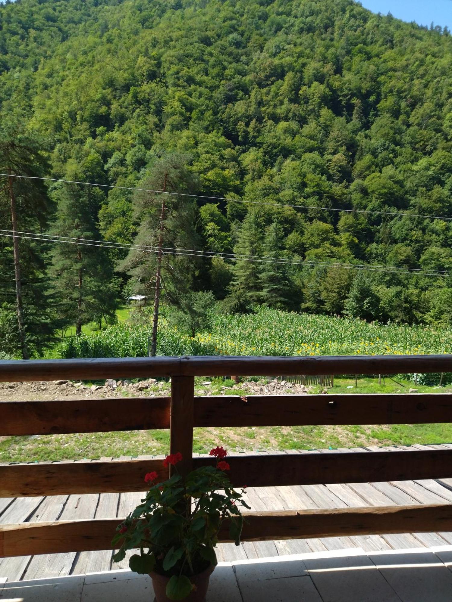 Hotel Alismereti Zekari Dış mekan fotoğraf