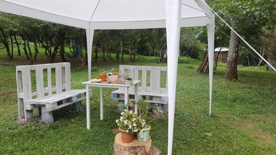 Hotel Alismereti Zekari Dış mekan fotoğraf