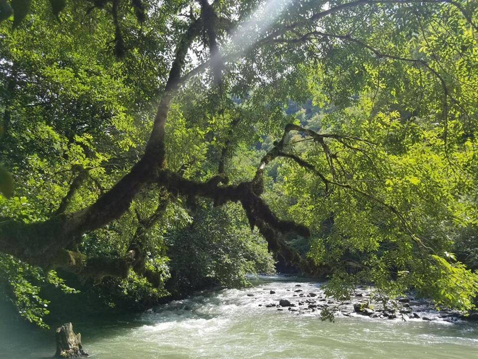 Hotel Alismereti Zekari Dış mekan fotoğraf